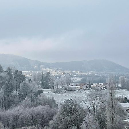 Gite Des Brimbelles La Neuveville-Devant-Lepanges Екстер'єр фото