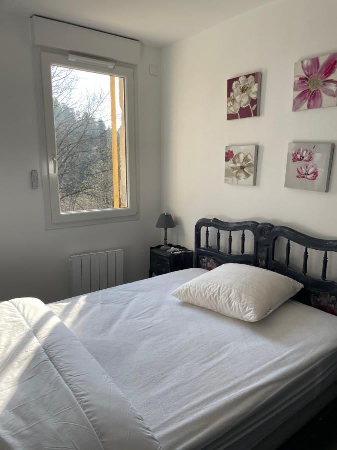 Gite Des Brimbelles La Neuveville-Devant-Lepanges Екстер'єр фото