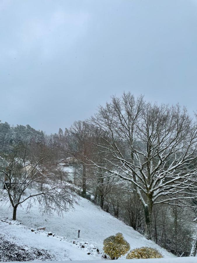 Gite Des Brimbelles La Neuveville-Devant-Lepanges Екстер'єр фото